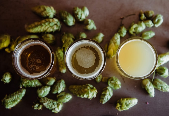 Craft beer cans and bottles